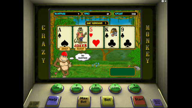 Игровой интерфейс Crazy Monkey 7